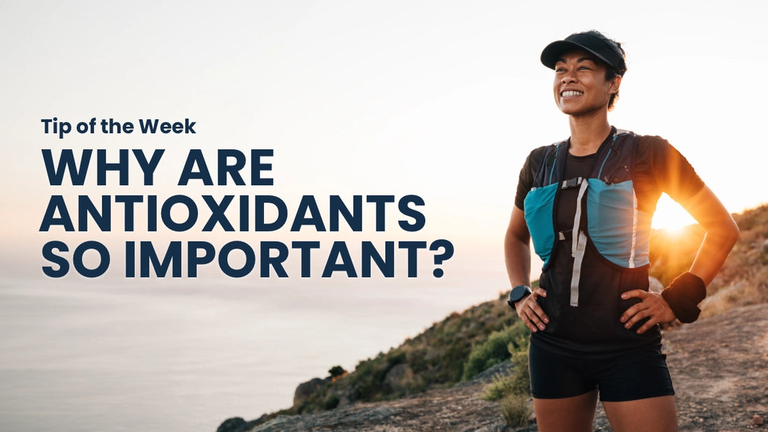 Why Are Antioxidants Important for Our Health?